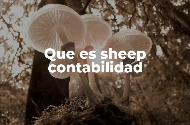 Que es Sheep Contabilidad