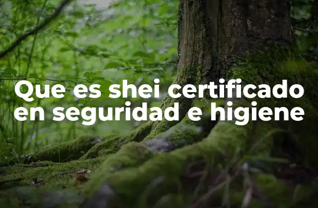 Que es Shei Certificado en Seguridad e Higiene