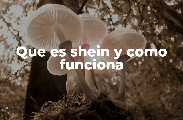 Que es Shein y como Funciona