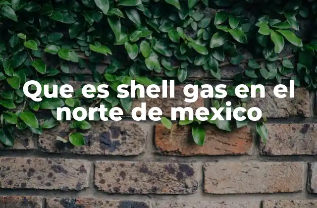 Que es Shell Gas en el Norte de Mexico