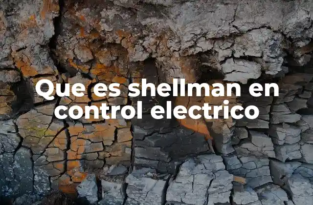 Que es Shellman en Control Electrico