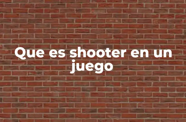 Que es Shooter en un Juego