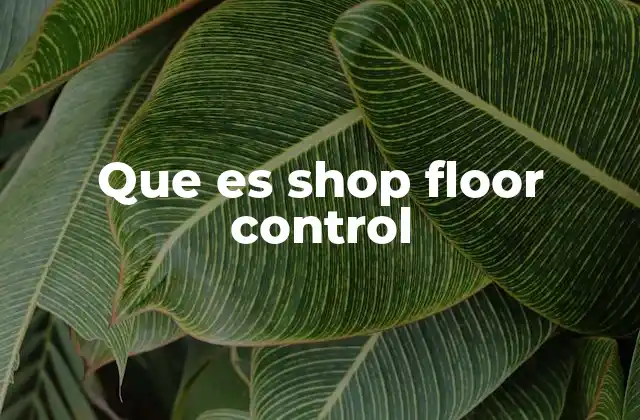 Que es Shop Floor Control
