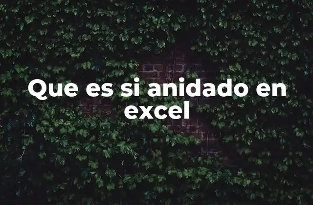 Que es Si Anidado en Excel