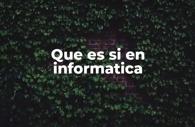 Que es Si en Informatica