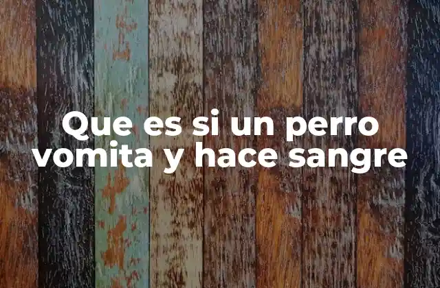Que es Si un Perro Vomita y Hace Sangre