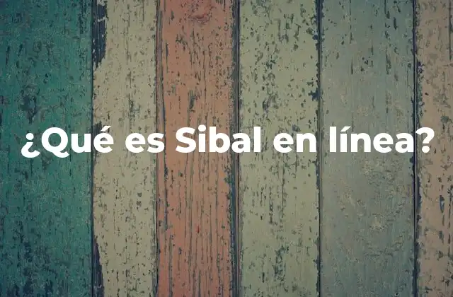 ¿qué es Sibal en Línea? 2 La importancia de la digitalización en el sector tributario