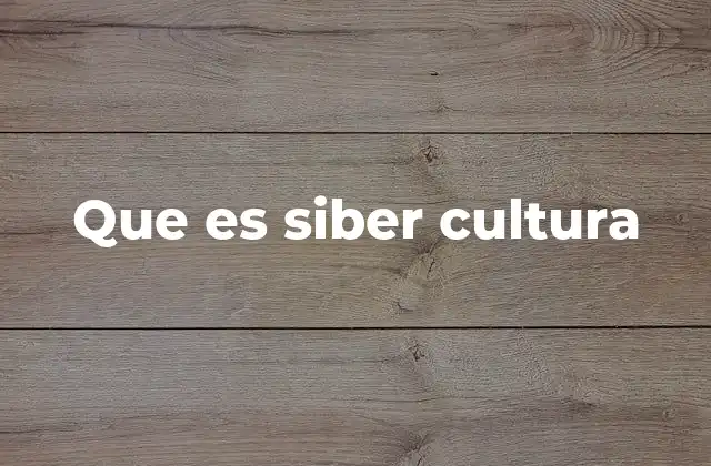Que es Siber Cultura