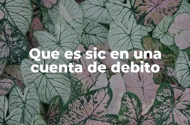 Que es Sic en una Cuenta de Debito