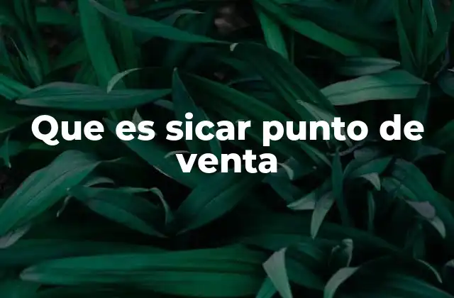 Que es Sicar Punto de Venta 2 Cómo Sicar Punto de Venta optimiza el control de ventas