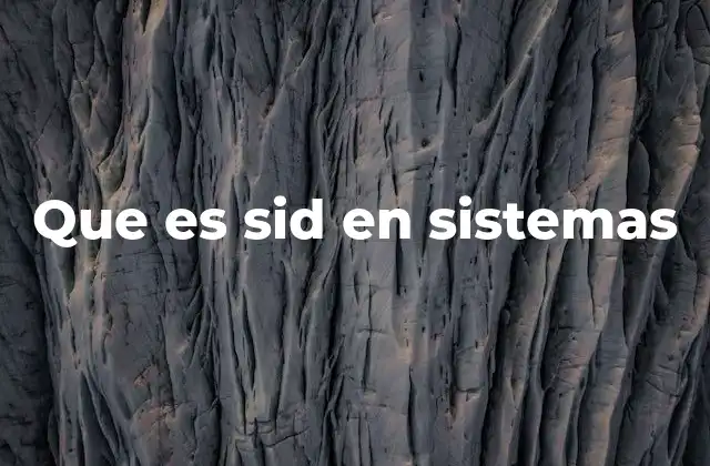 Que es Sid en Sistemas