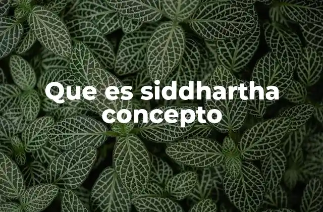 Que es Siddhartha Concepto