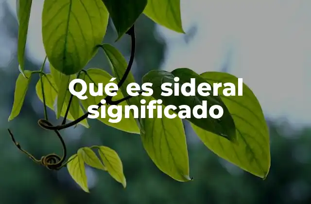 Qué es Sideral Significado