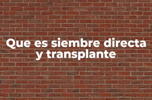 Que es Siembre Directa y Transplante