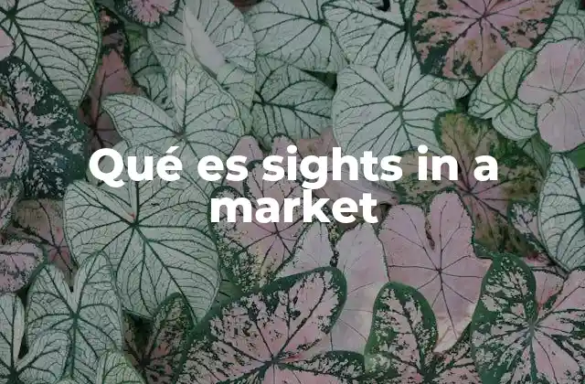 Qué es Sights In a Market