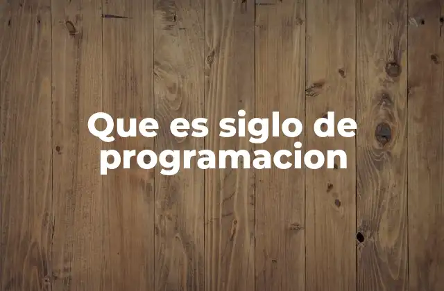 Que es Siglo de Programacion