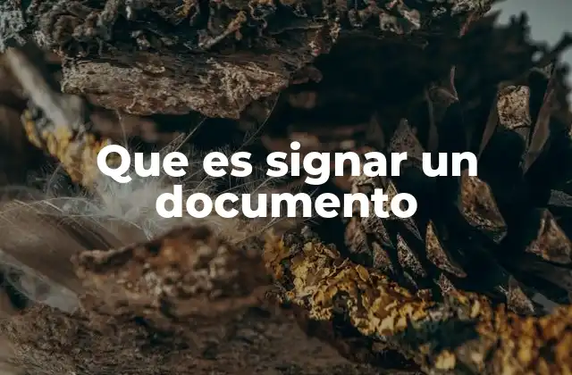 Que es Signar un Documento