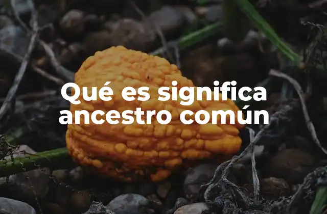 Qué es Significa Ancestro Común 2 La importancia del concepto en la biología moderna
