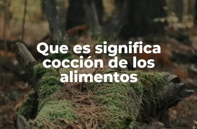 Que es Significa Cocción de los Alimentos 2 La importancia de aplicar técnicas adecuadas en la preparación de comidas