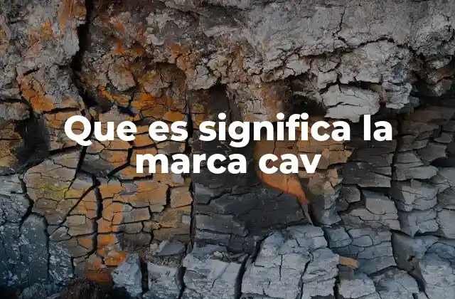 Que es Significa la Marca Cav 2 El enfoque innovador detrás de Cav