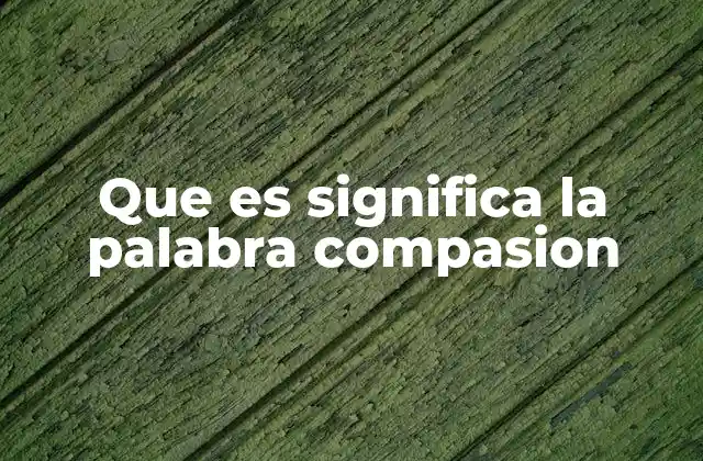 Que es Significa la Palabra Compasion