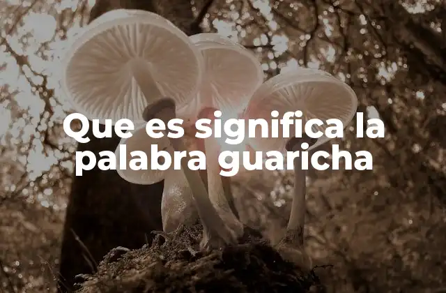 Que es Significa la Palabra Guaricha