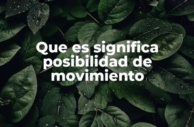 Que es Significa Posibilidad de Movimiento