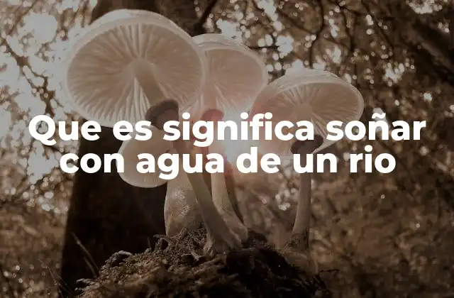 Que es Significa Soñar con Agua de un Rio 2 El río como símbolo universal del cambio y la transformación