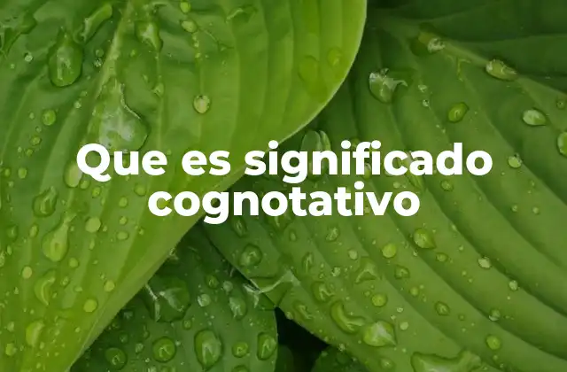 Que es Significado Cognotativo