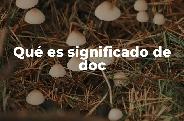 Qué es Significado de Doc