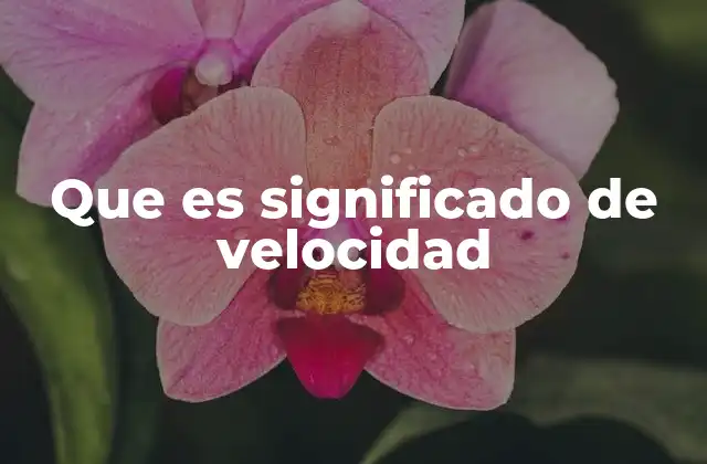 Que es Significado de Velocidad