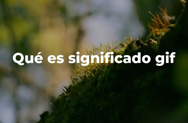 Qué es Significado Gif 2 El GIF como lenguaje visual en la comunicación moderna