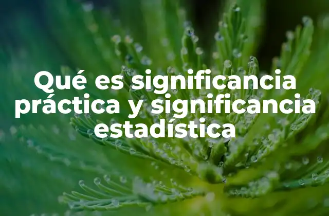 Qué es Significancia Práctica y Significancia Estadística