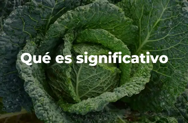 Qué es Significativo