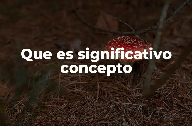 Que es Significativo Concepto