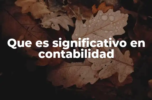 Que es Significativo en Contabilidad