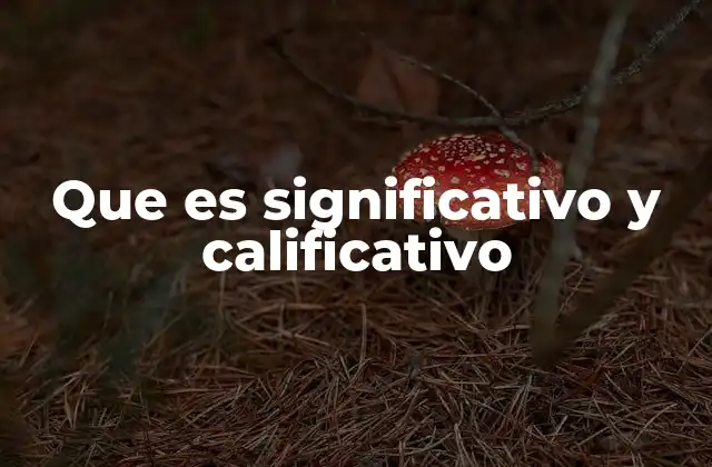Que es Significativo y Calificativo