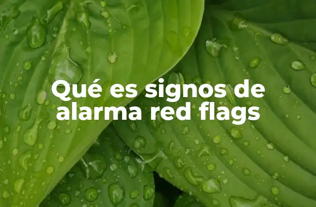 Qué es Signos de Alarma Red Flags