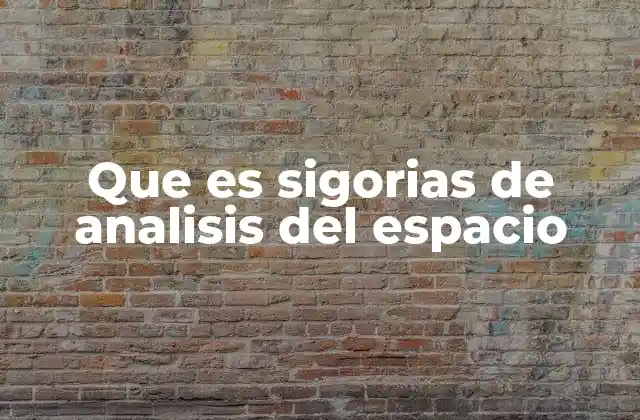 Que es Sigorias de Analisis Del Espacio 2 La importancia de la integración de datos geográficos en la toma de decisiones