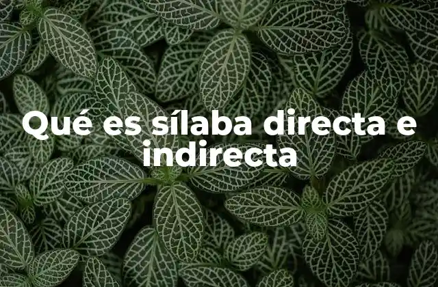 Qué es Sílaba Directa e Indirecta
