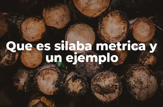 Que es Silaba Metrica y un Ejemplo