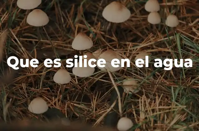 Que es Silice en el Agua 2 Cómo se forma y cuáles son sus fuentes naturales