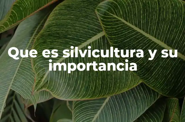 Que es Silvicultura y Su Importancia