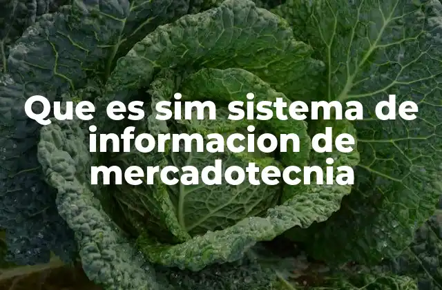 Que es Sim Sistema de Informacion de Mercadotecnia