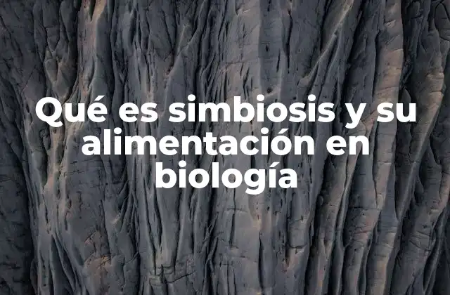 Qué es Simbiosis y Su Alimentación en Biología