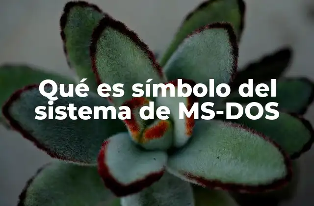 Qué es Símbolo Del Sistema de Ms-dos