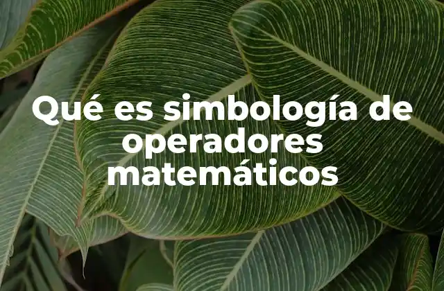 Qué es Simbología de Operadores Matemáticos