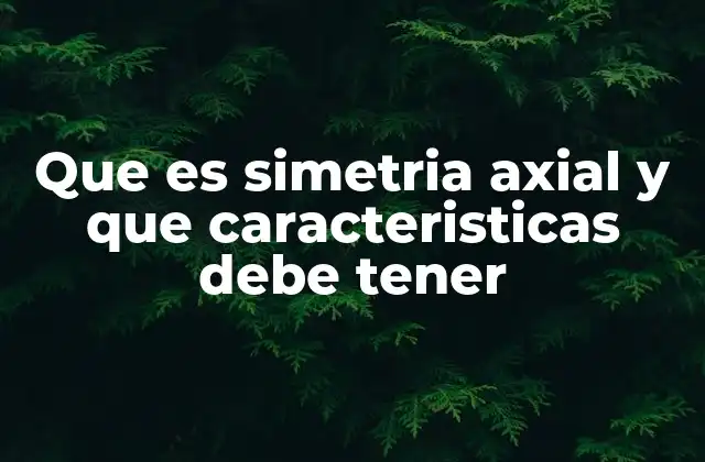 Que es Simetria Axial y que Caracteristicas Debe Tener
