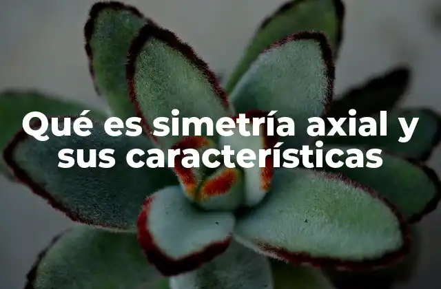 Qué es Simetría Axial y Sus Características 2 La simetría axial en la geometría plana