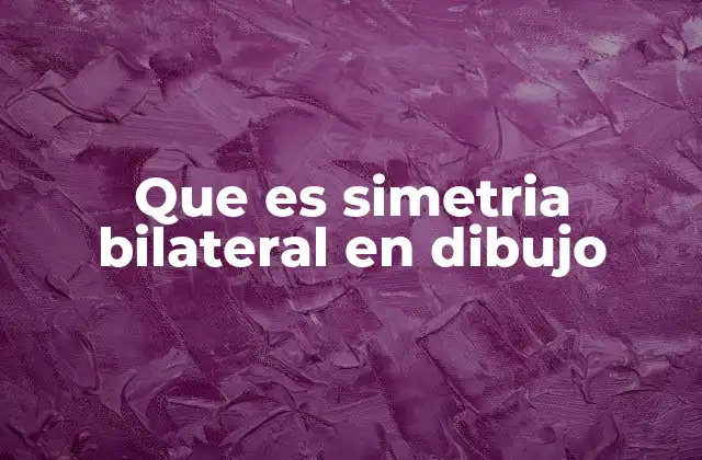 Que es Simetria Bilateral en Dibujo